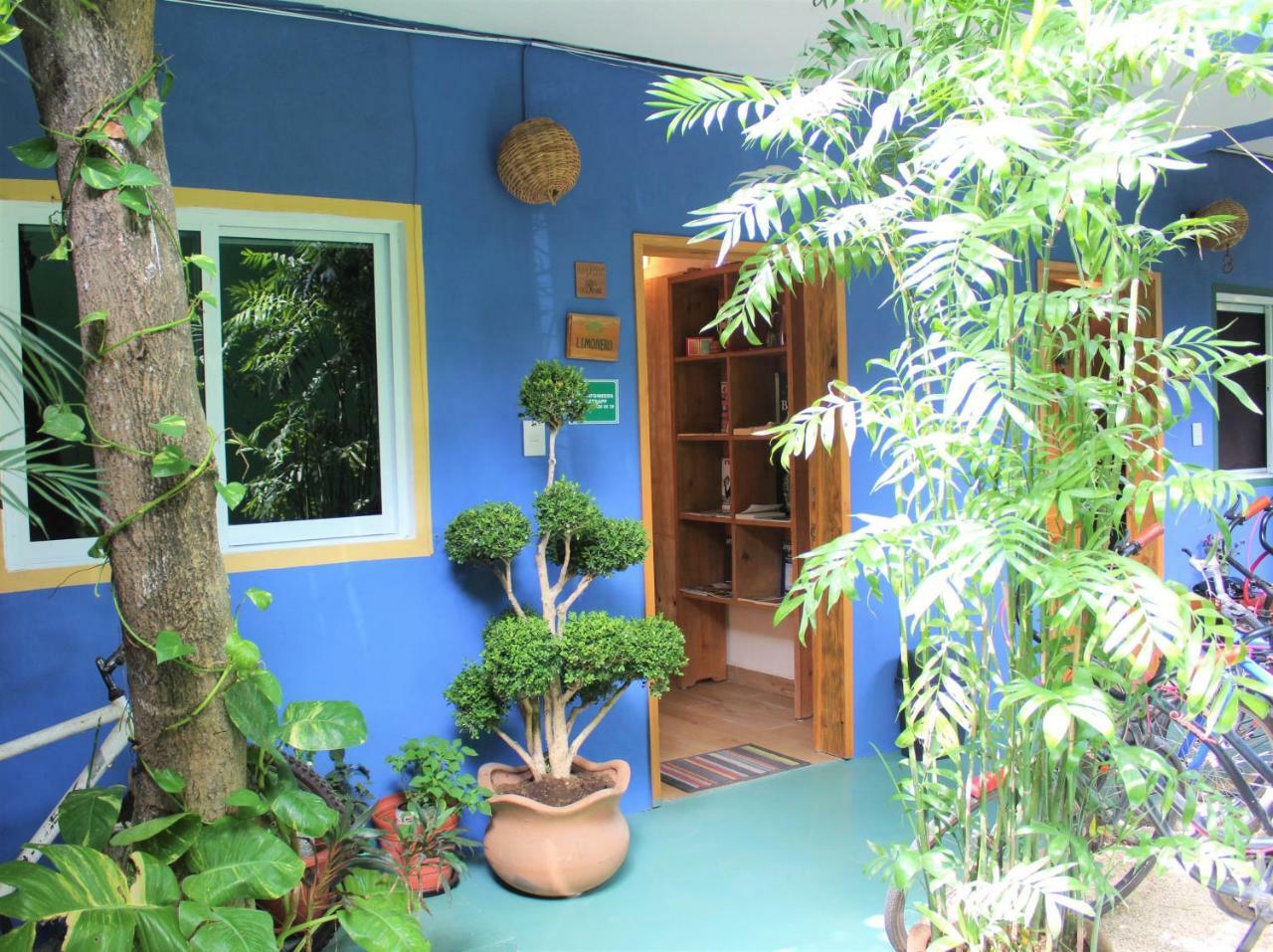 Casa Almendro Otel Tulum Dış mekan fotoğraf